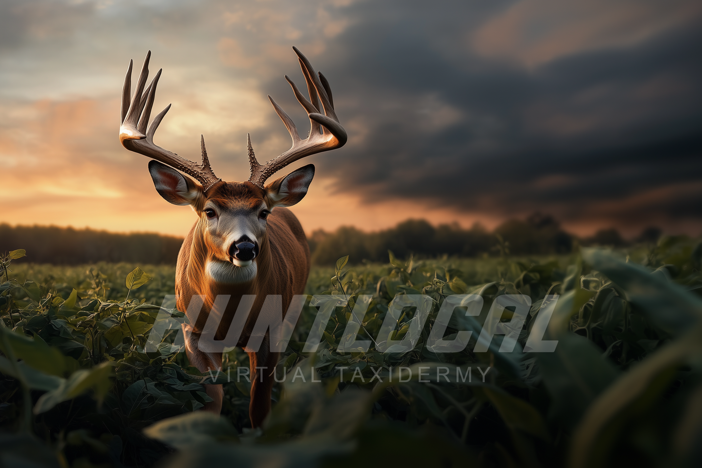 Scene 14 - Whitetail Custom Art
