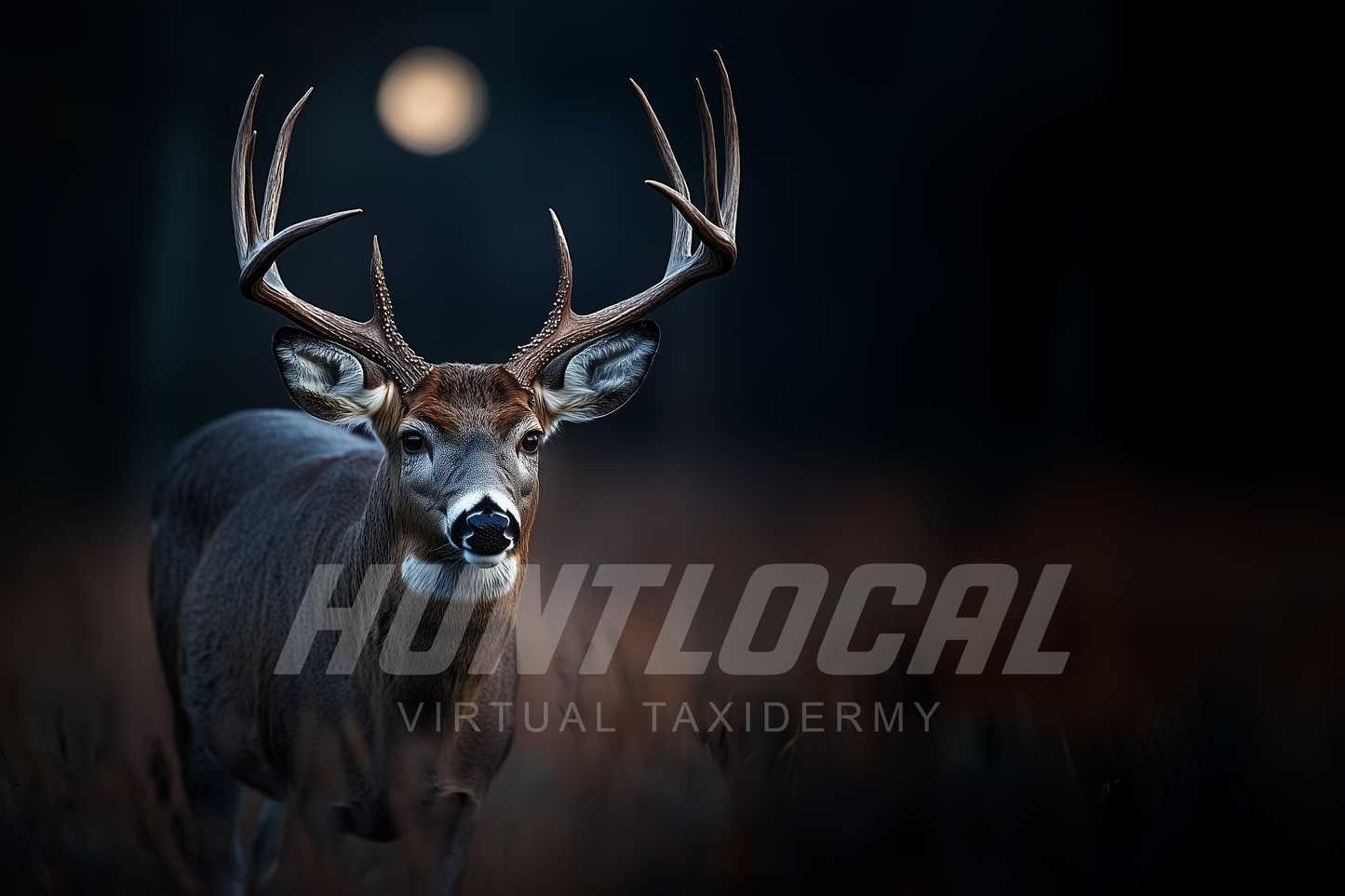 Scene 20 - Whitetail Custom Art