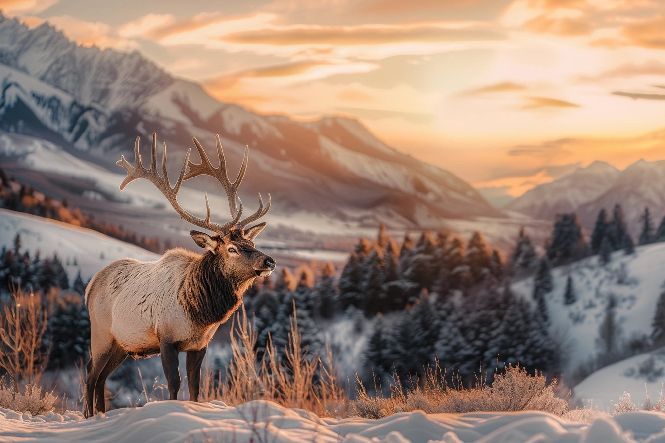 SCENE 115 - Custom Elk Art