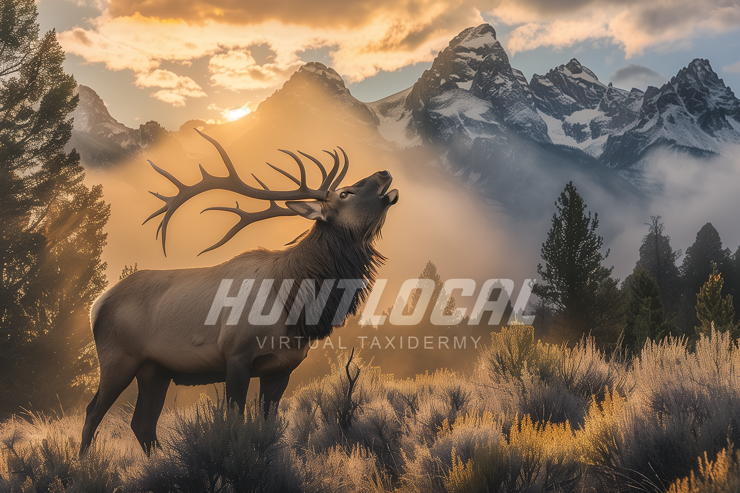 SCENE 101 - Custom Elk Art