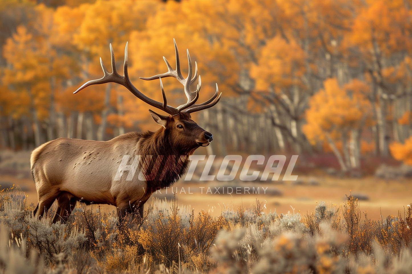 SCENE 100 - Custom Elk Art