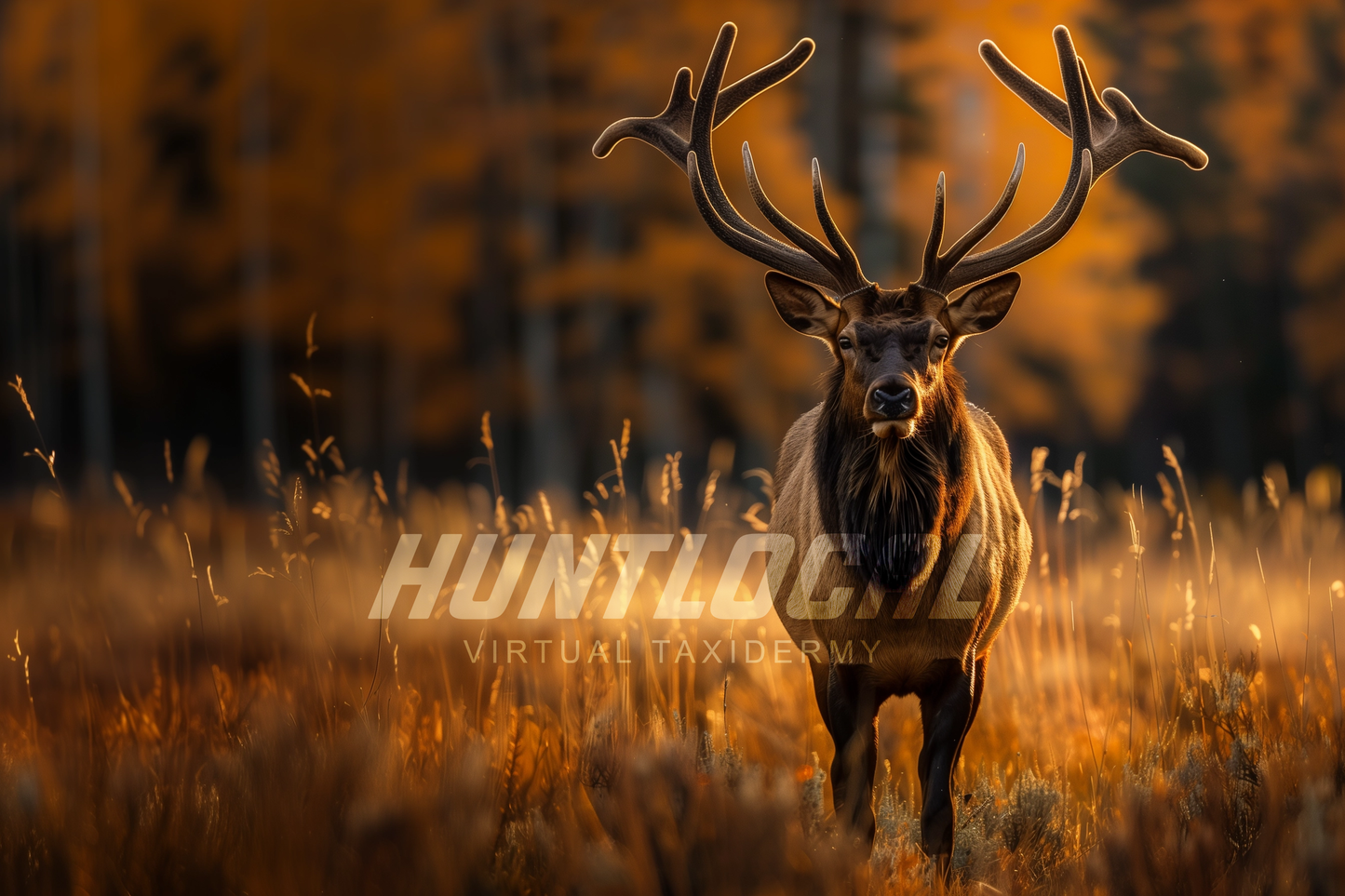 SCENE 112 - Custom Elk Art