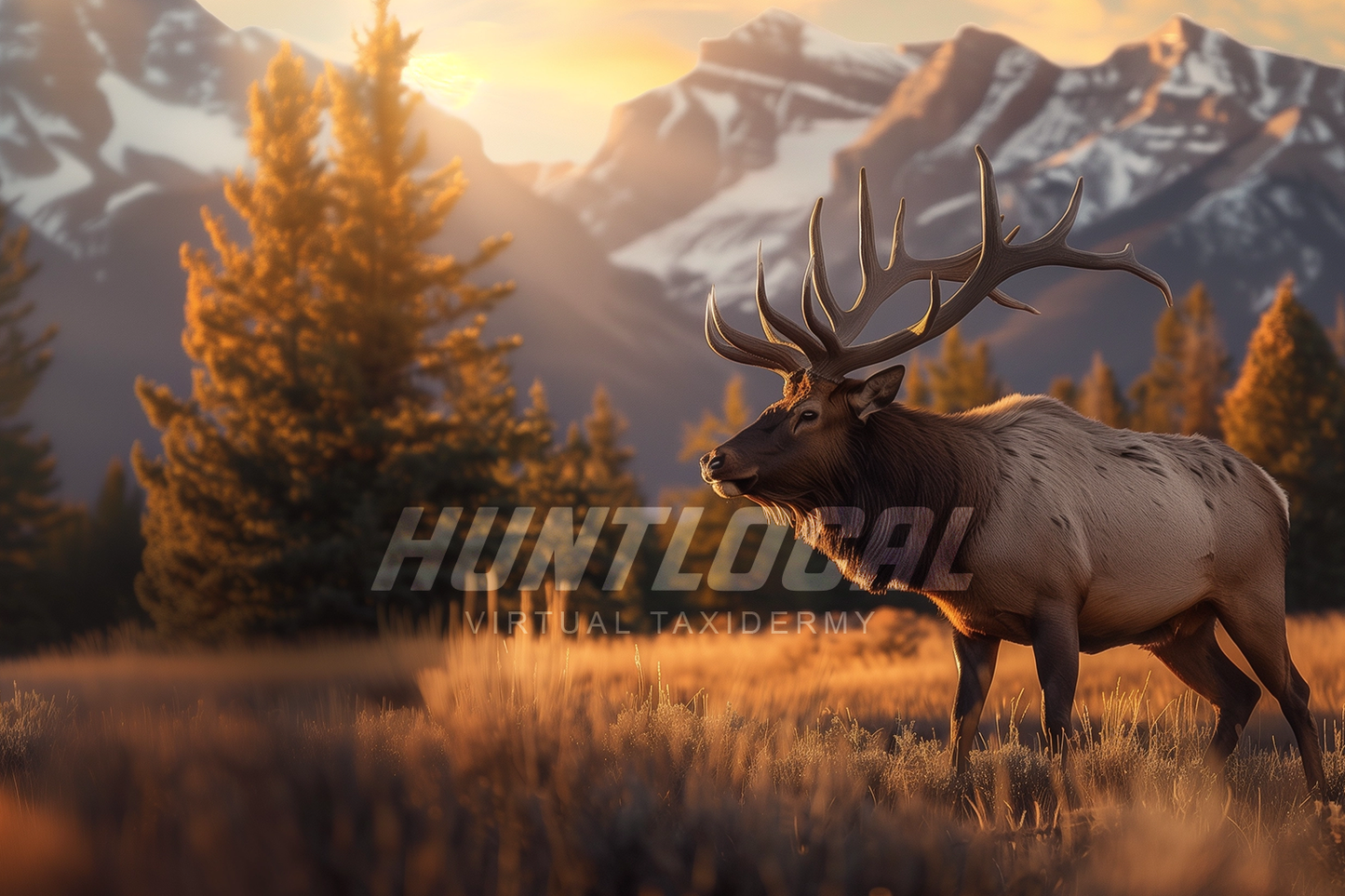 SCENE 108 - Custom Elk Art