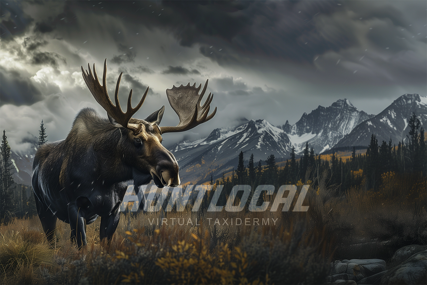 SCENE 134 - Moose Morning Storms