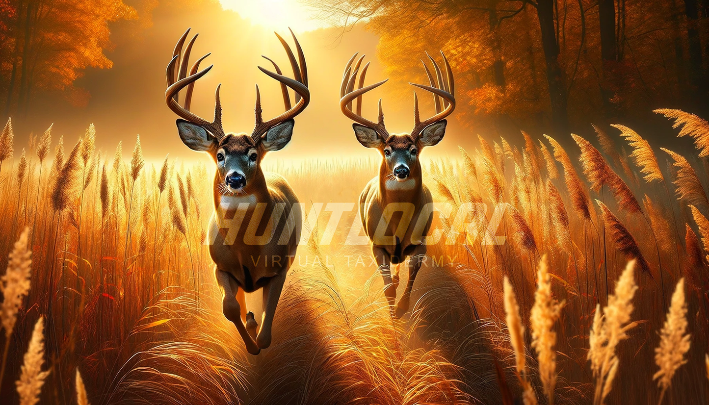 Scene 43 - Two Whitetails Custom Art