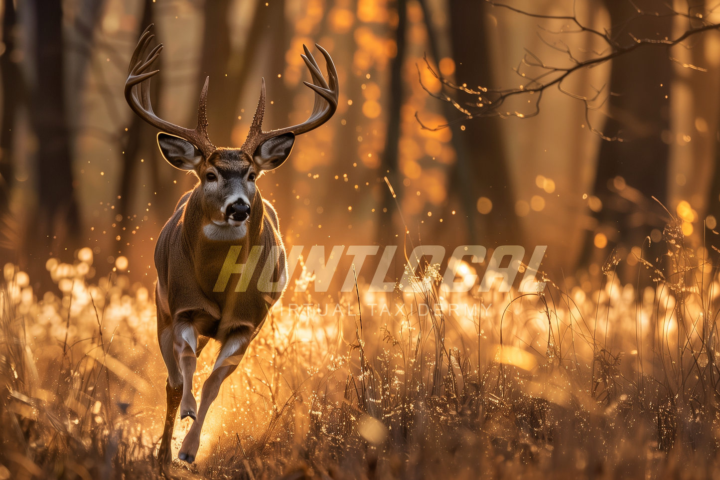 Scene 01 - Whitetail Custom Art