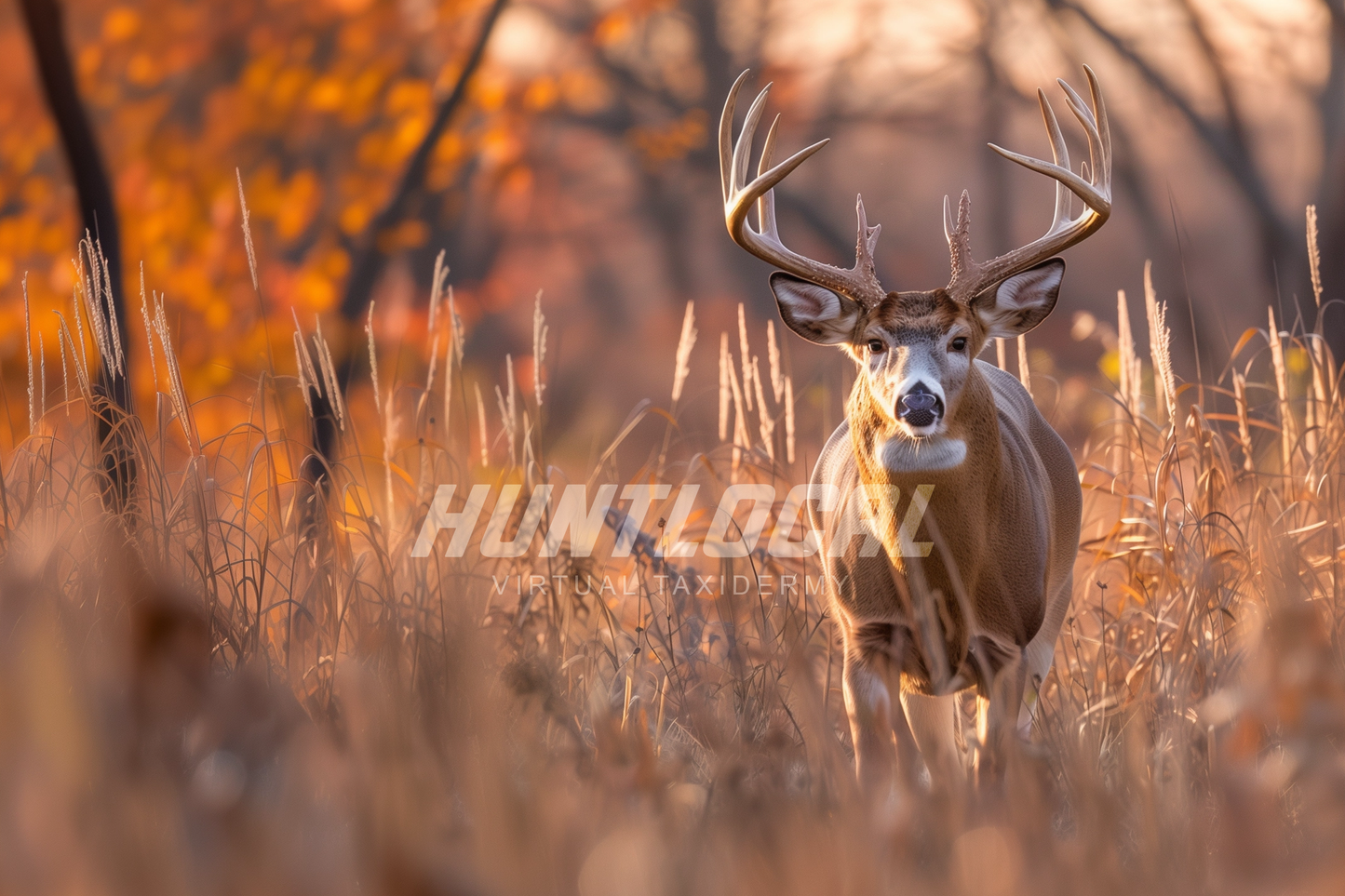 Scene 22 - Whitetail Custom Art