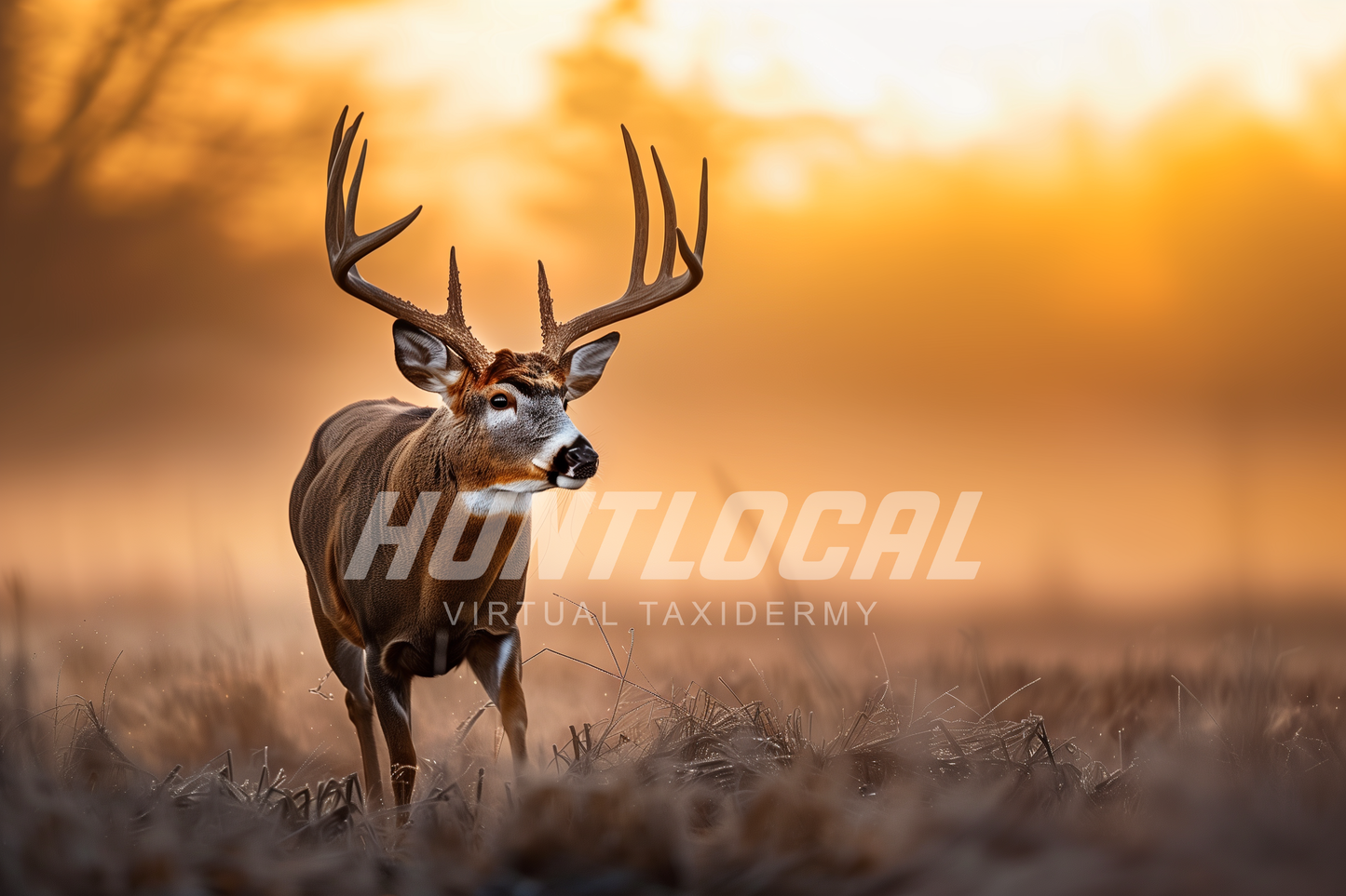 Scene 02 - Whitetail Custom Art