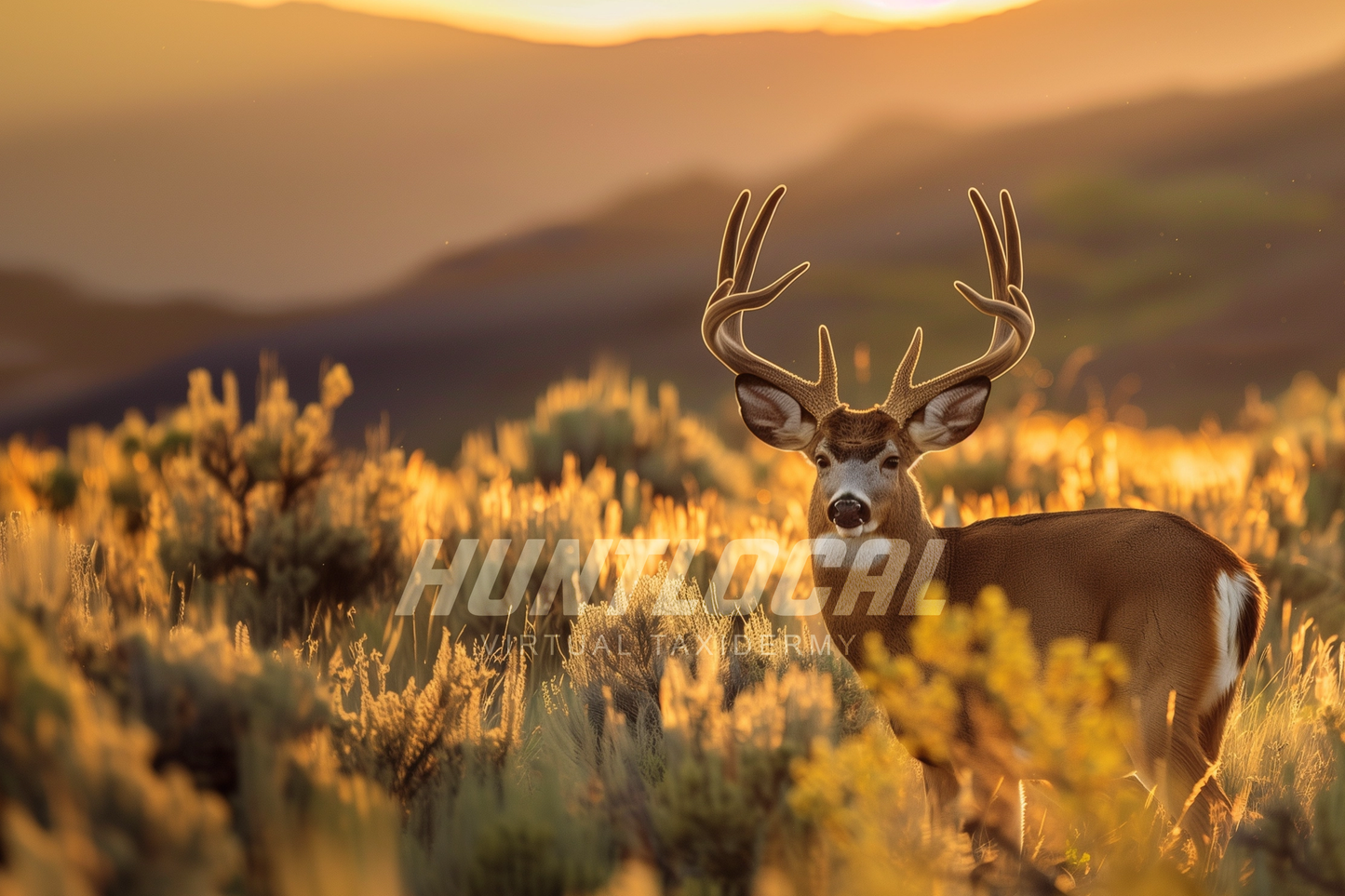 SCENE 182 - Custom Mule Deer Art