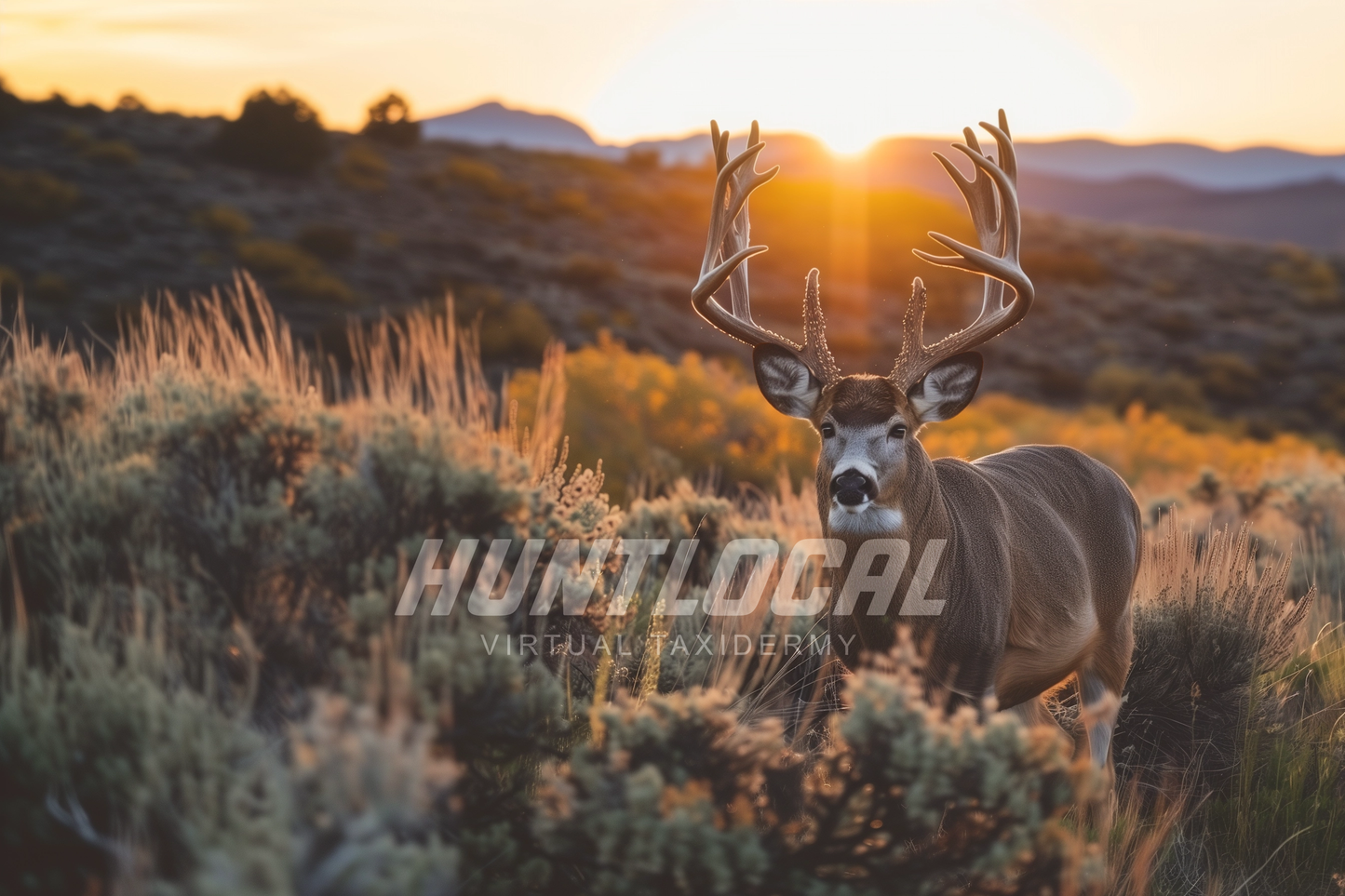 SCENE 184 - Custom Mule Deer Art