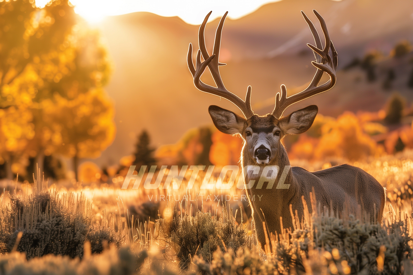 SCENE 185 - Custom Mule Deer Art