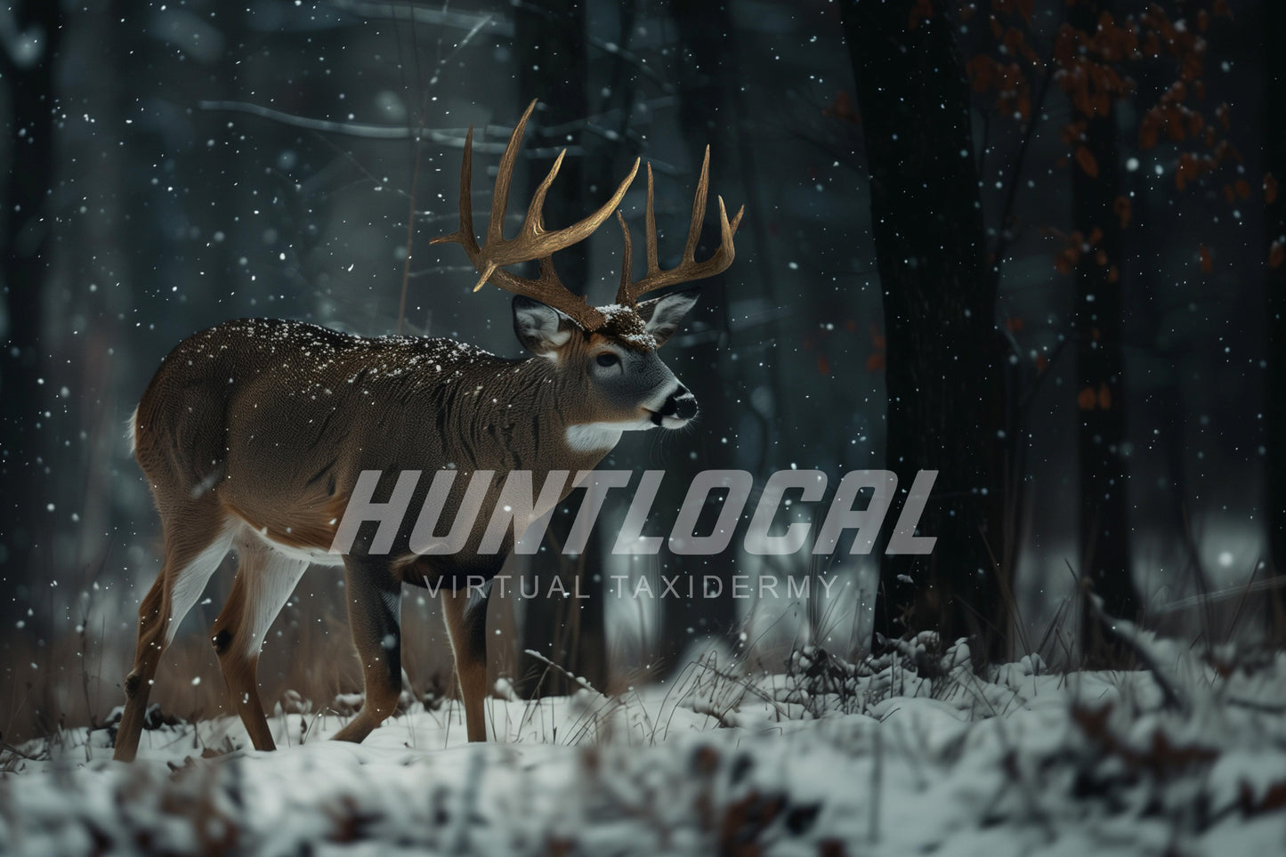 Scene 24 - Whitetail Custom Art
