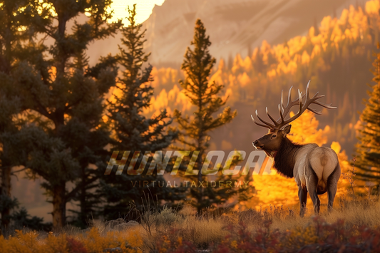 SCENE 113 - Custom Elk Art