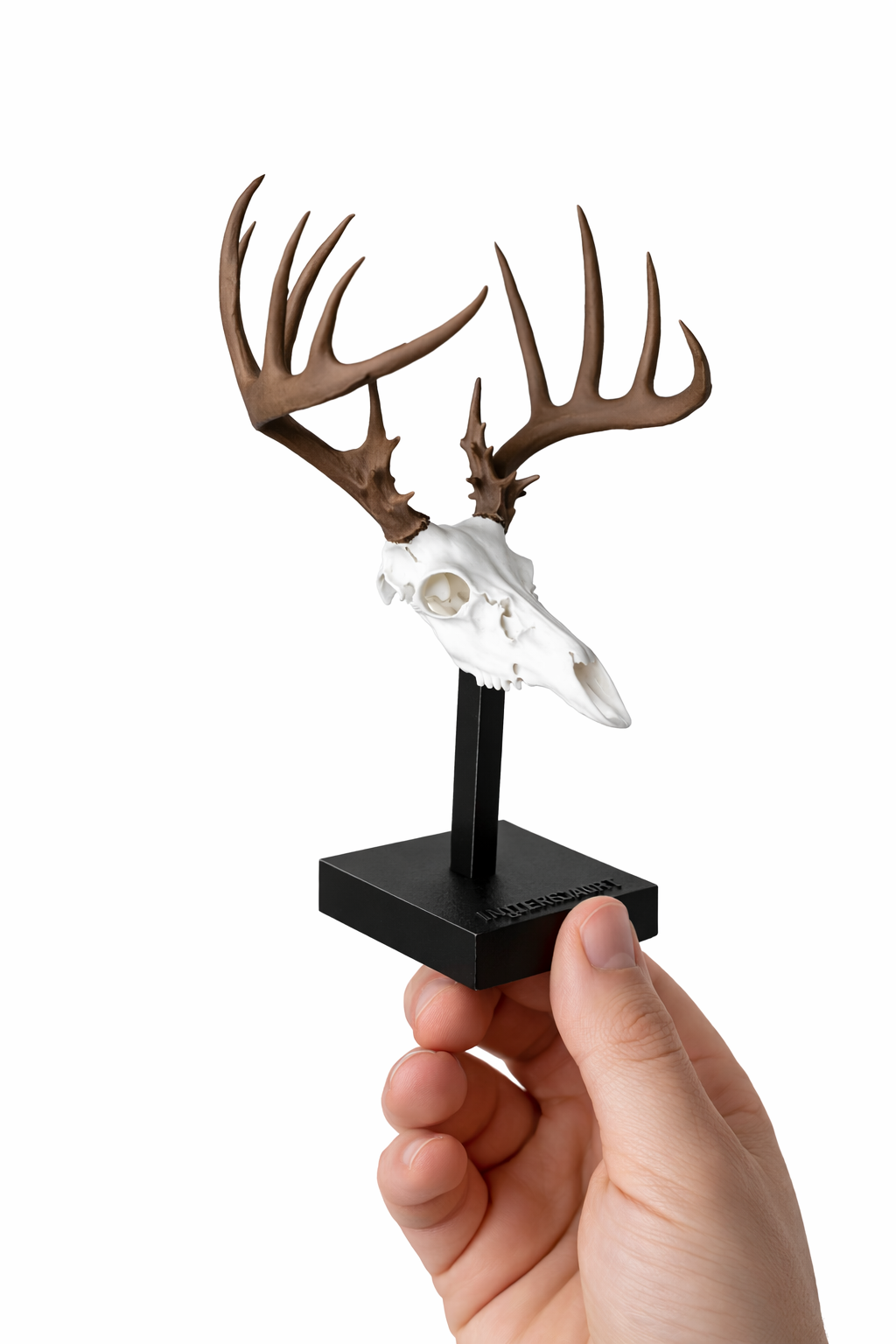 (CUSTOM) Two Color - Mini Mount & Stand