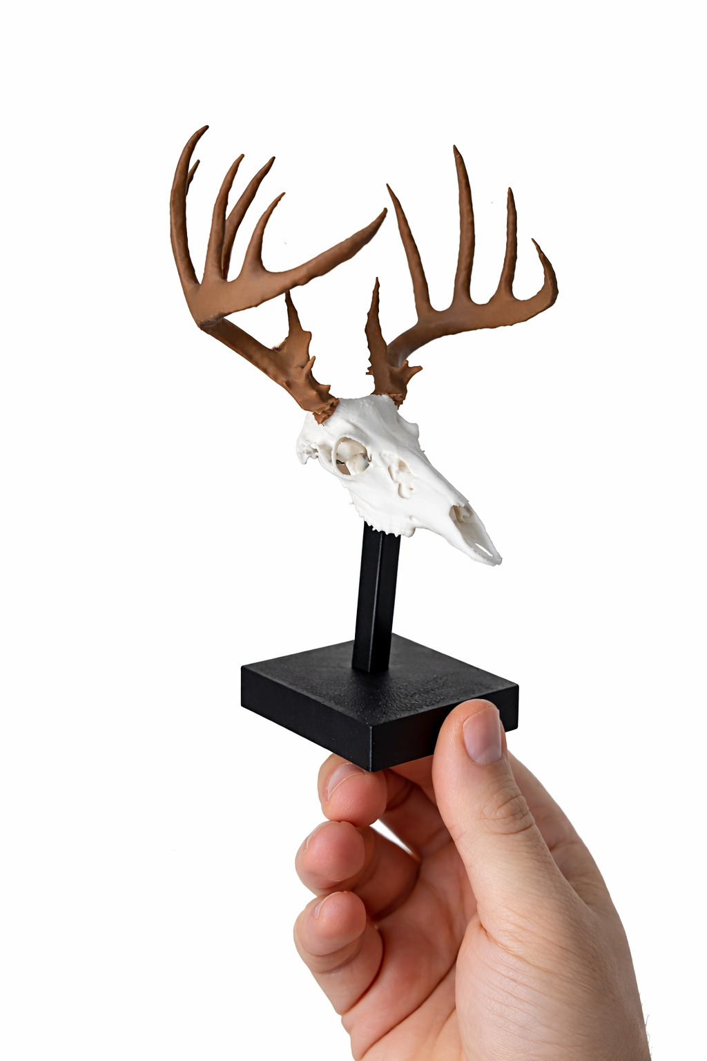 (CUSTOM) Two Color - Mini Mount & Stand