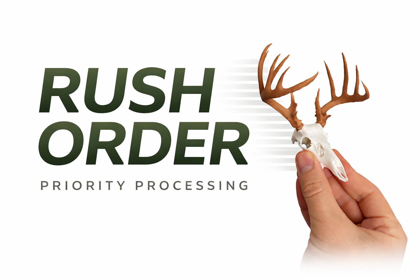 RUSH ORDER - Mini Mount Service