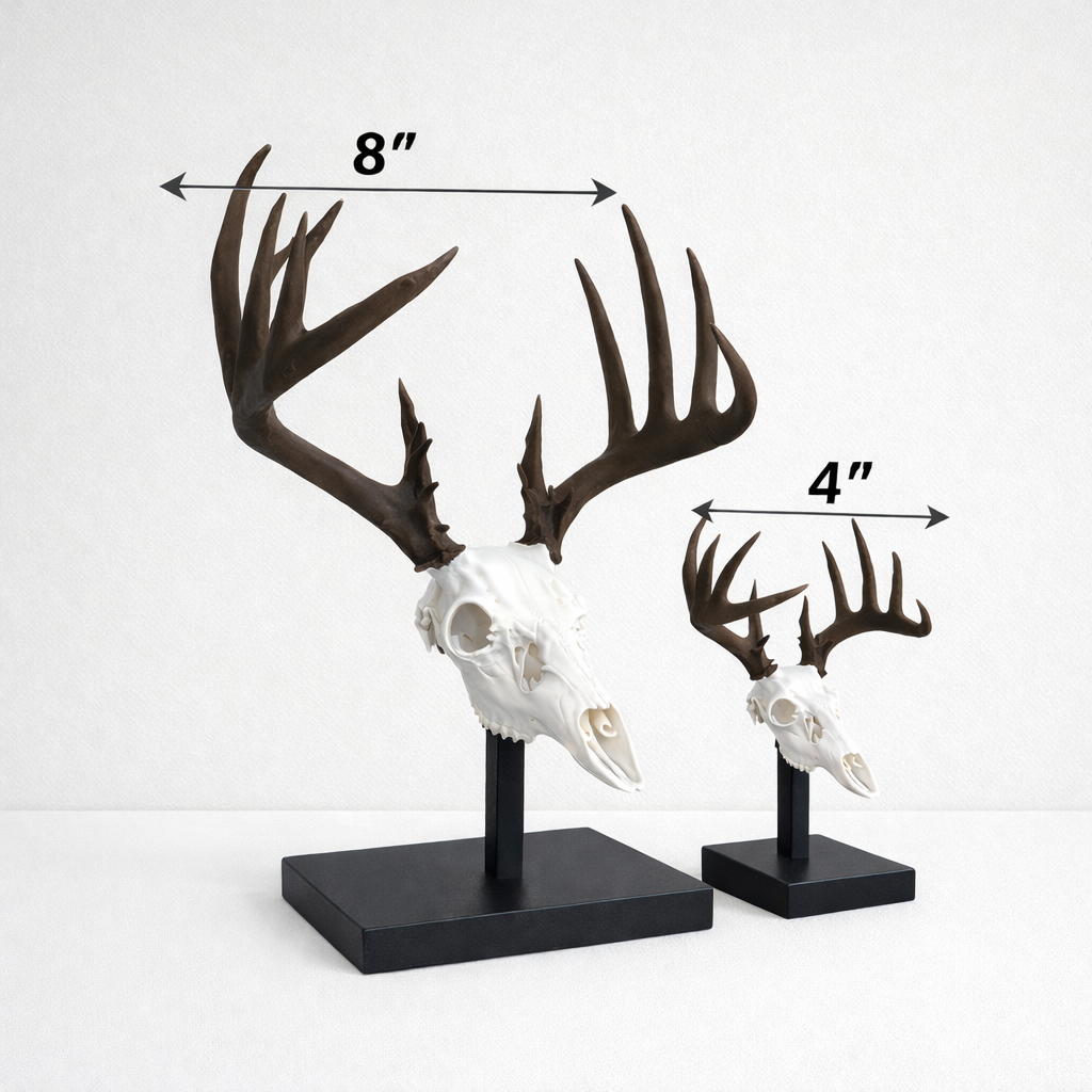(CUSTOM) Two Color - Mini Mount & Stand