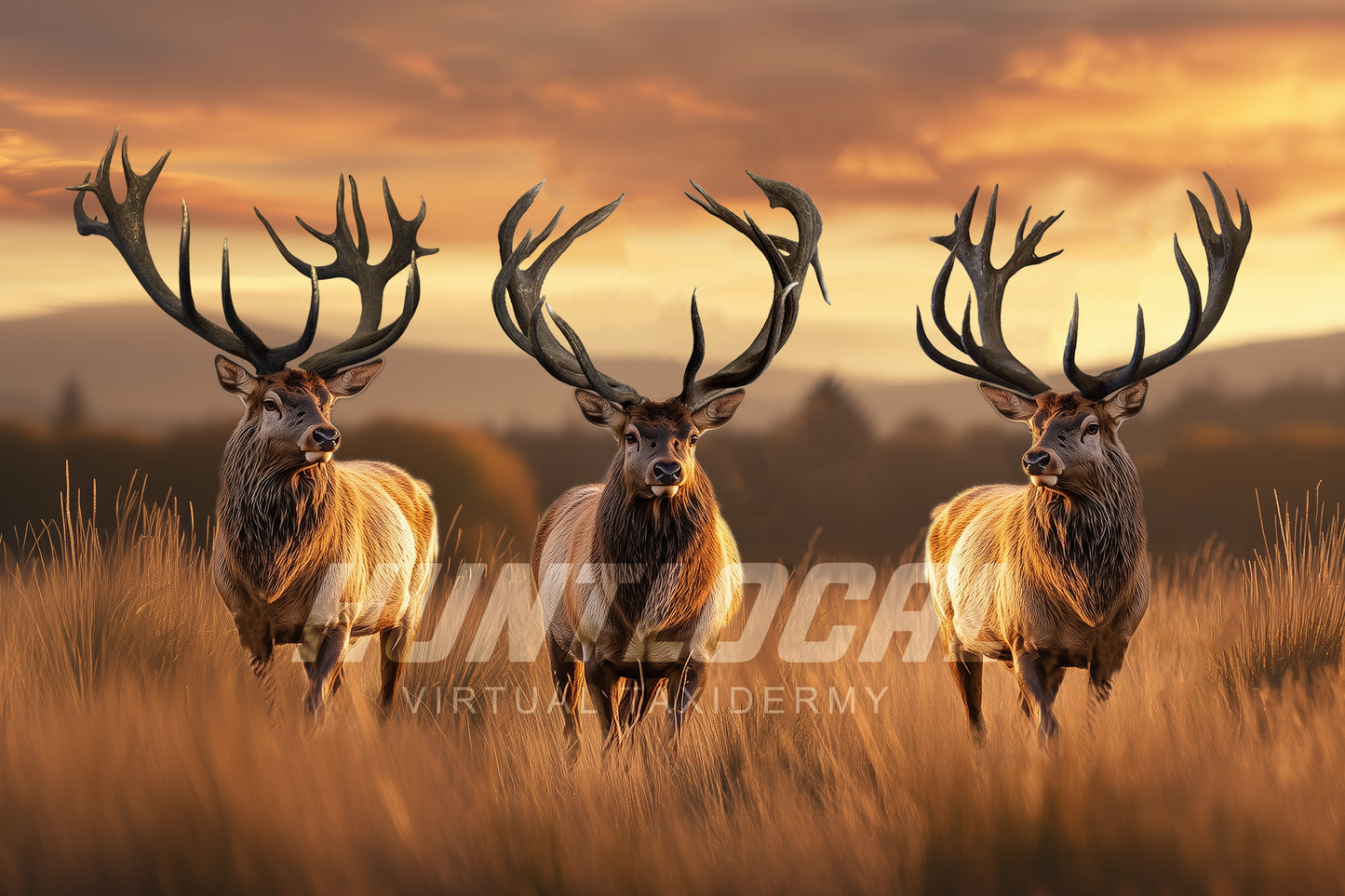 Scene 300 - Three Red Stag Custom Art and Background