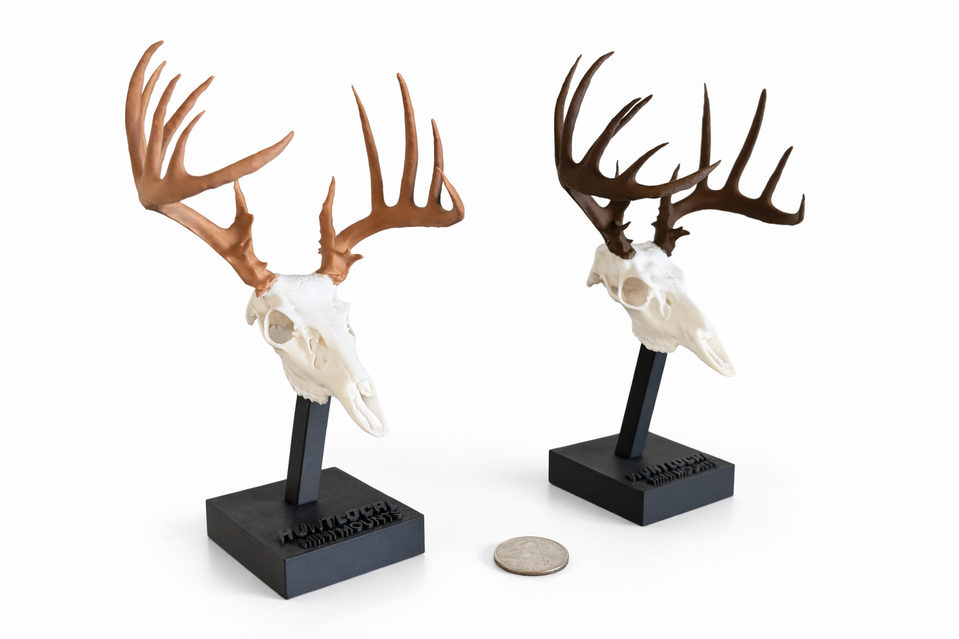Two Color Whitetail Deer Mounts