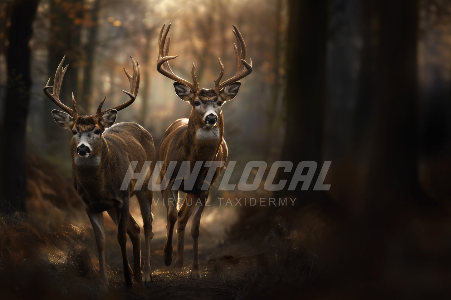 Scene 33 - Two Whitetails Custom Art